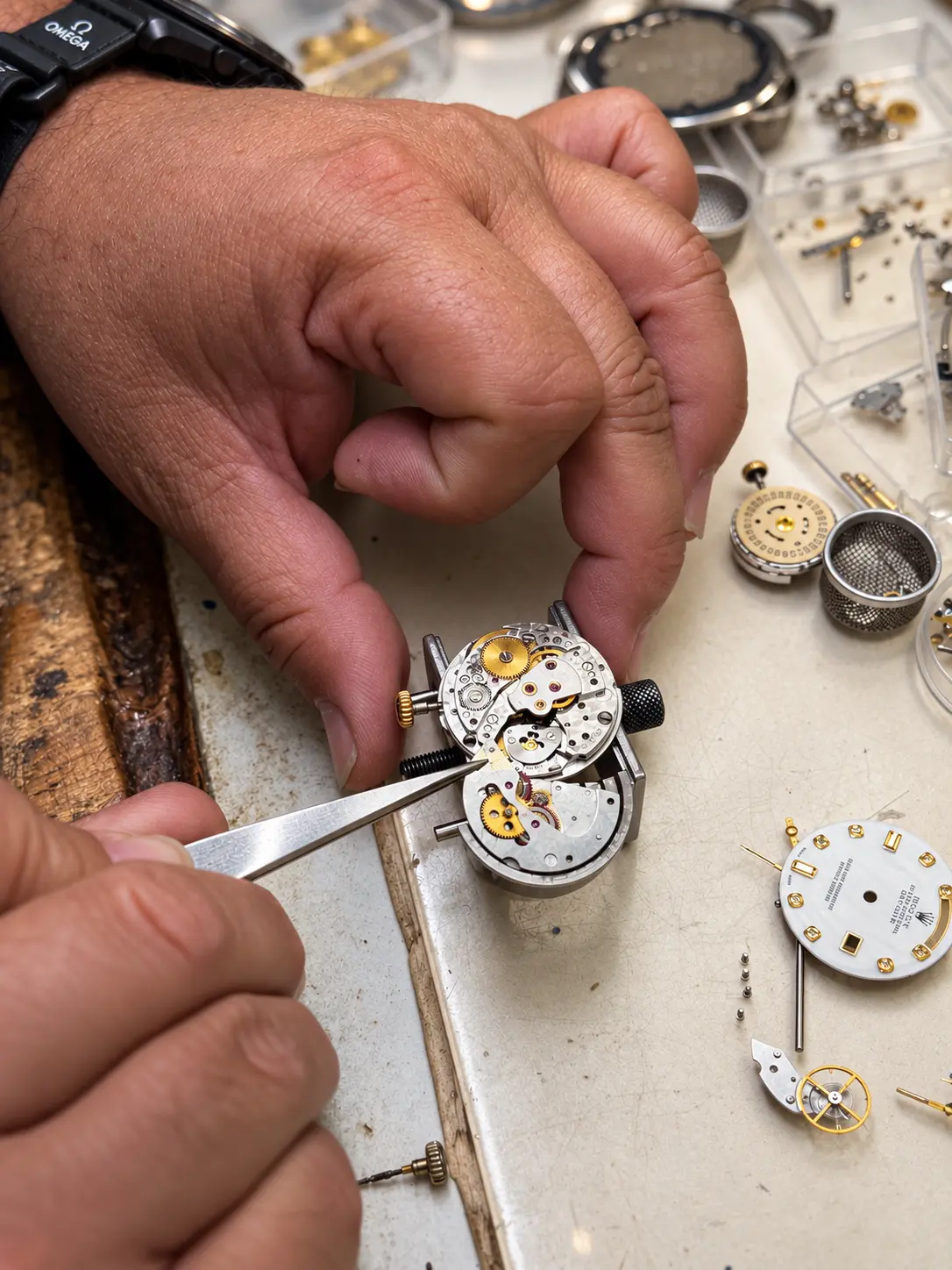Hands guiding tweezers on a movement in a holder